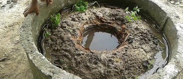 Cara Terbaru Budidaya Belut Lahan Sempit Hemat Biaya Cepat Besar