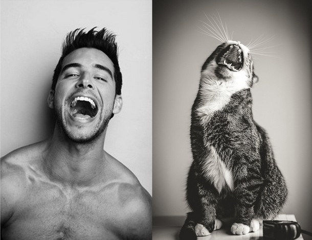 Cute Kittens and Handsome Men Paired Up