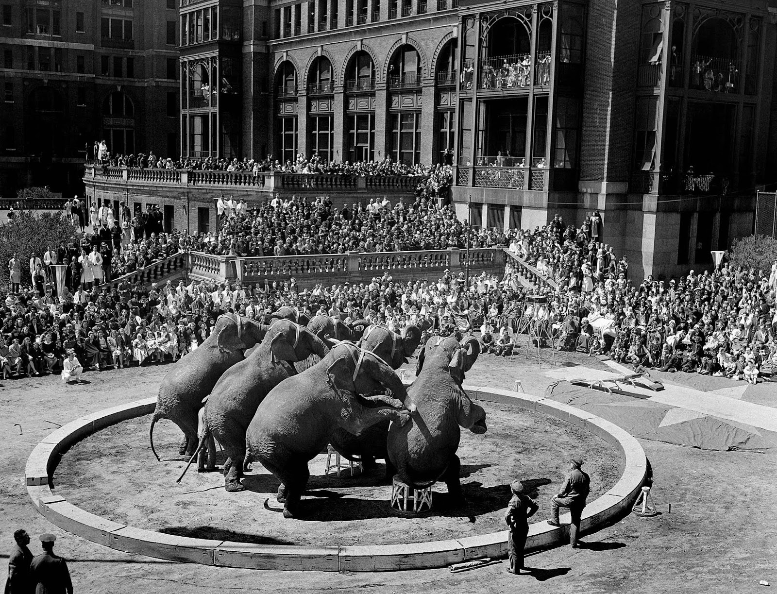 World War Two Daily April 25 1941 Operation Demon