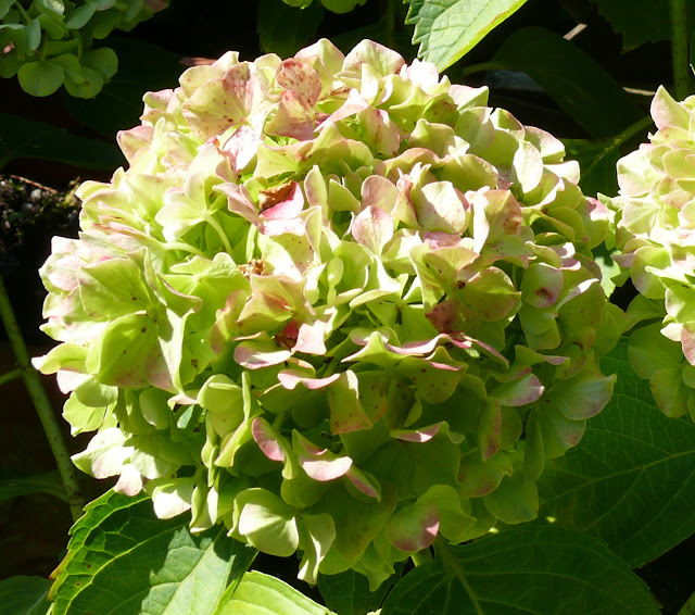 Zu Gast Bei Ricarda Noch Mehr Miami Und Neue Stoffe Bei Alles