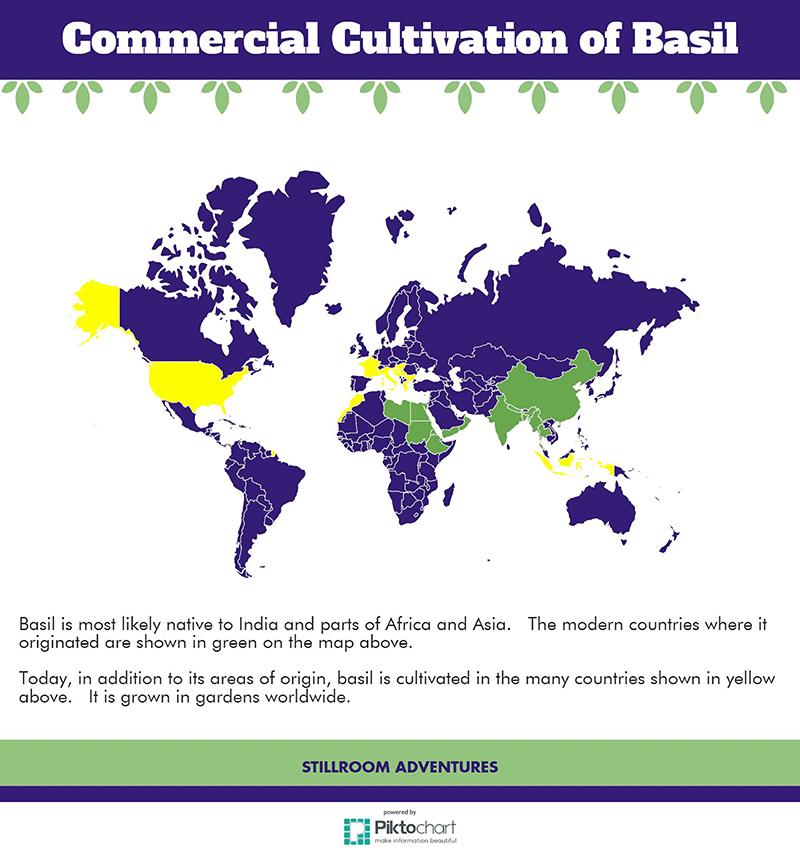 History, Lore and Magic of Basil