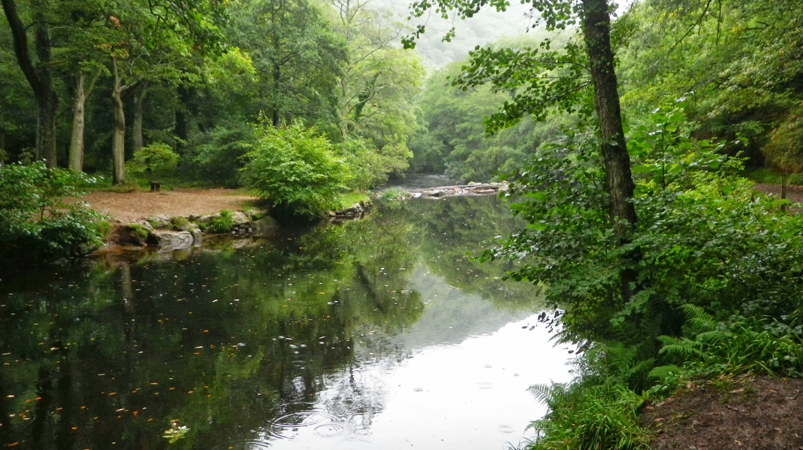 My Dartmoor Walks Tuesday 1st October Fingle Bridge