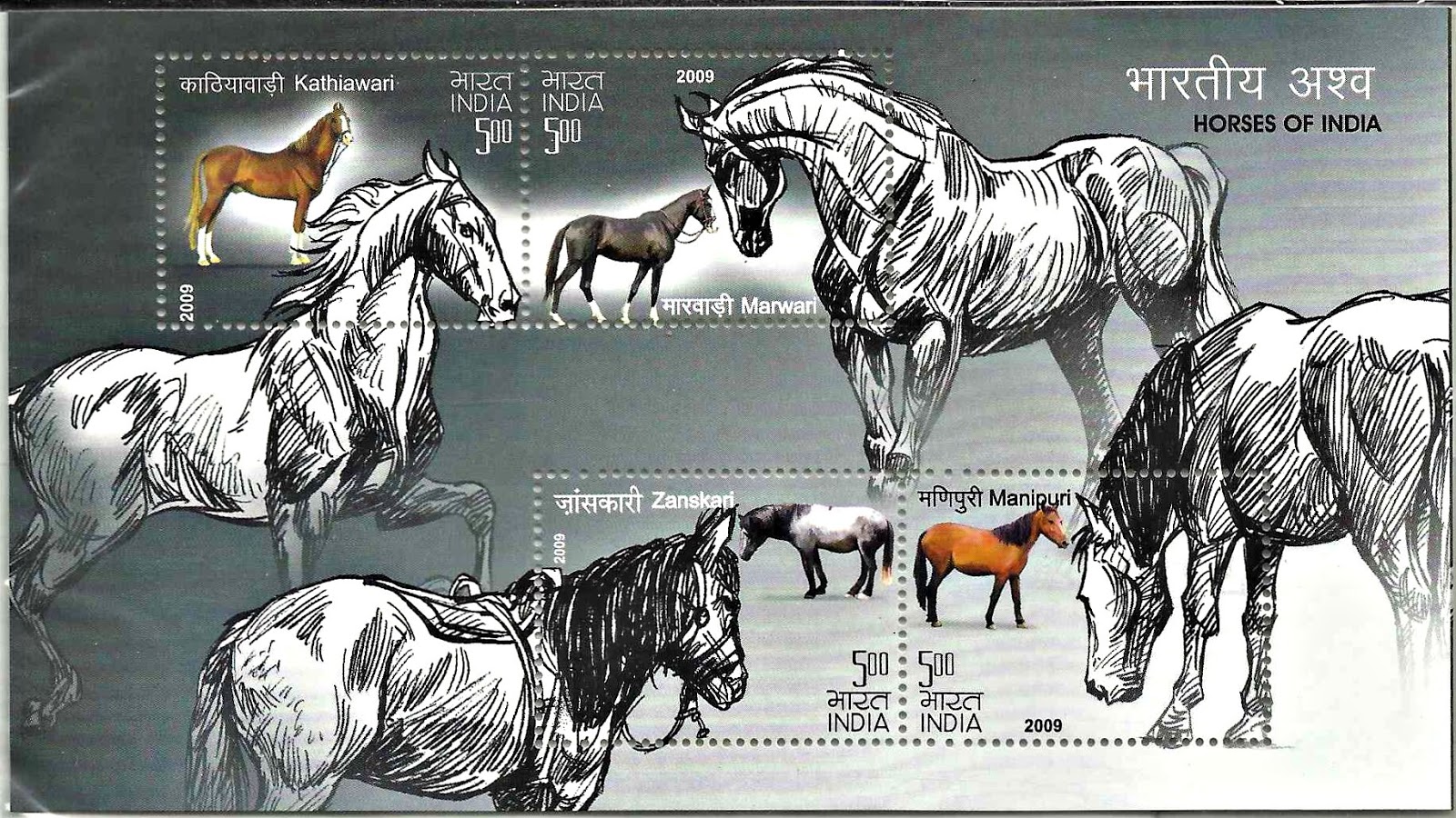 My Stamps of India 2009, Indigenous HORSES OF INDIA (Miniature Sheet ) Rs 20.00 MN H