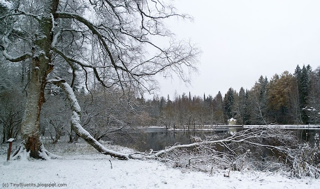 snow by the lake Joutsenlampi in Aulanko