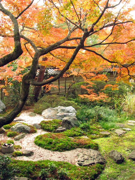 石庭、A small dry landscape garden and autumnal color of leaves