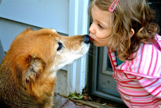 Doggie Kisses