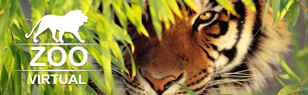 Zoológico Virtual do Brasil! Seu Safari Virtual!