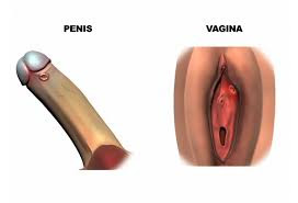 Obat Sipilis Luka Di Vagina