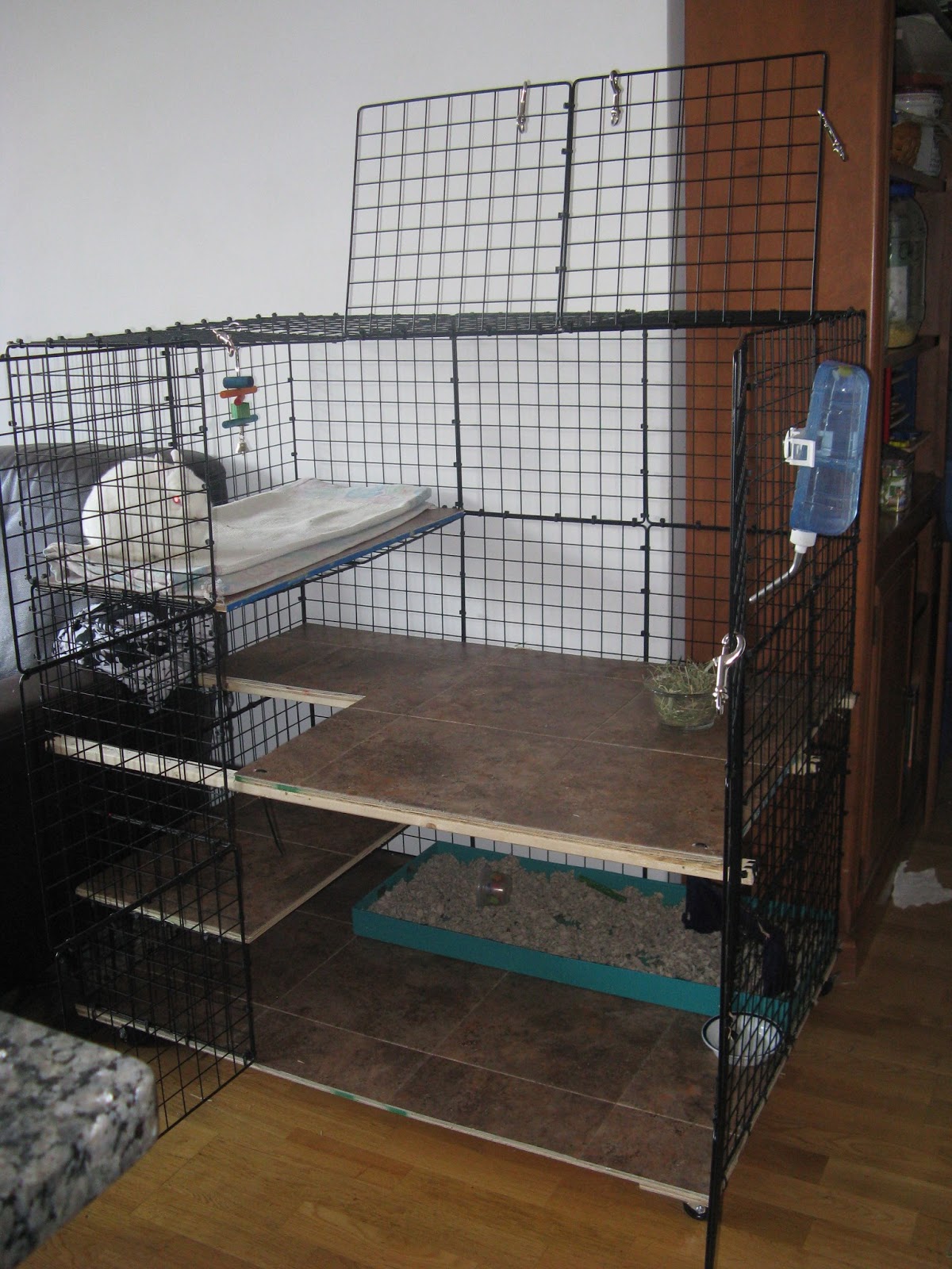 Rabbit Care Corner Bunny Cages 101