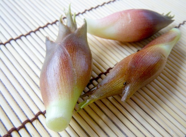 Yakumi Yakumi