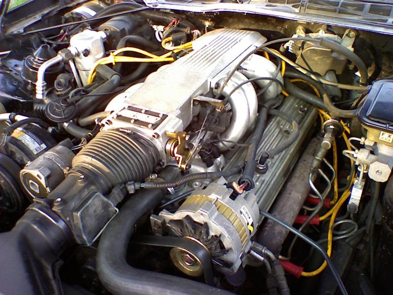 camaro3rdgen: ¿Por qué elegir un Camaro Tercera Generación? 92 camaro fuel wiring 