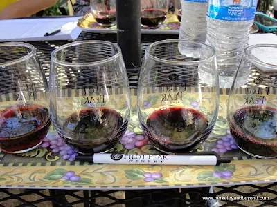 comparative tasting at Pilot Peak Vineyard & Winery in Penn Valley, California