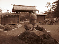 Japanese garden in Esquimalt BC