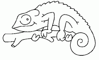 camaleon 1