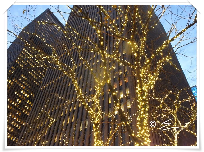 Elfis Kartenblog Christmas In New York