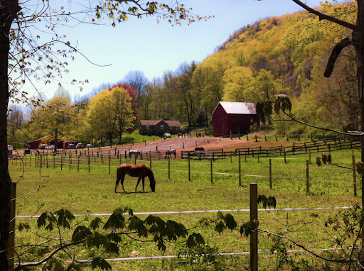 A Ranch or Stud along The Lone Pine Trail - Guilford CT