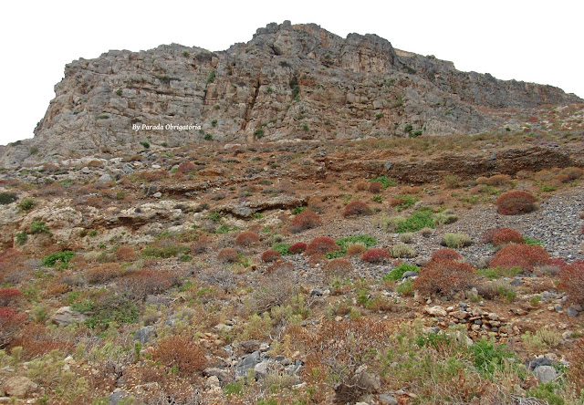 Imeri Gramvousa - Creta Grécia