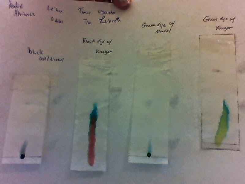 Paper Chromatography Lab
