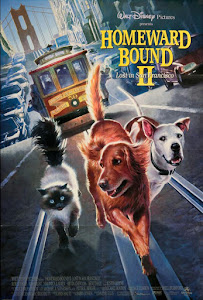 Homeward Bound II: Lost in San Francisco Poster