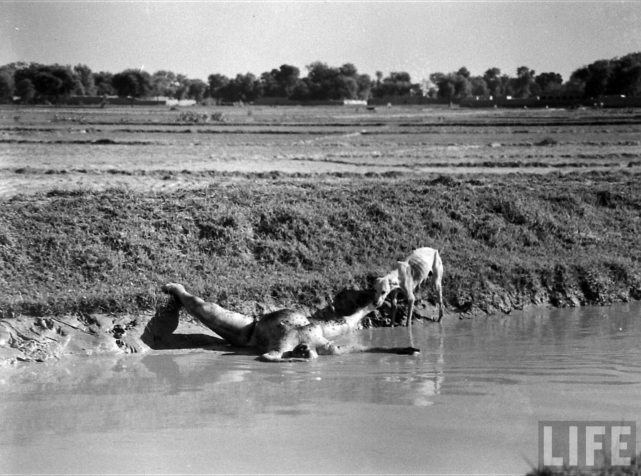 Partition Of India (Indian Partition) Rare Photos Rare & Old Vintage