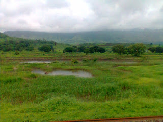 Photo of 5 Monsoon gateways from Mumbai 23/26 by Manish