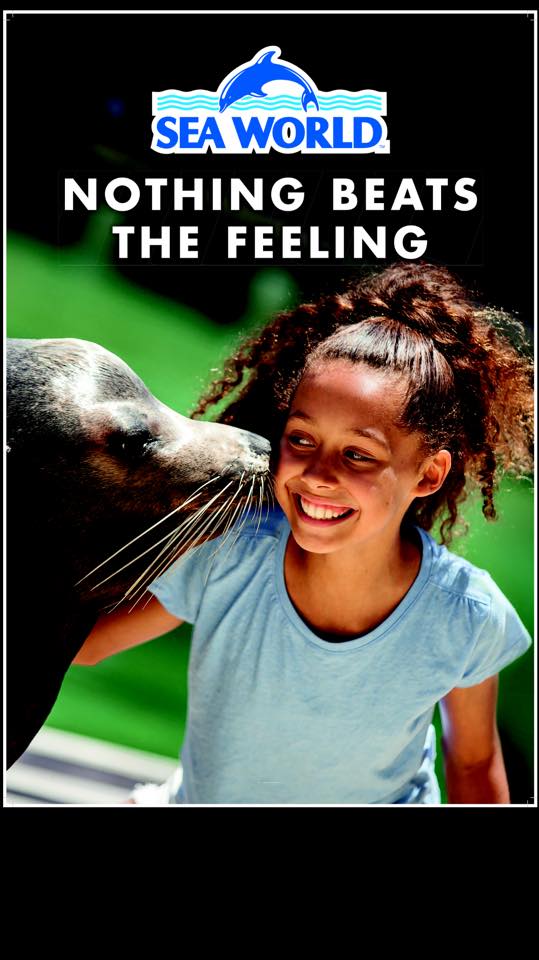 Savannah Foran McDaniel movies list and roles (Surviving Summer