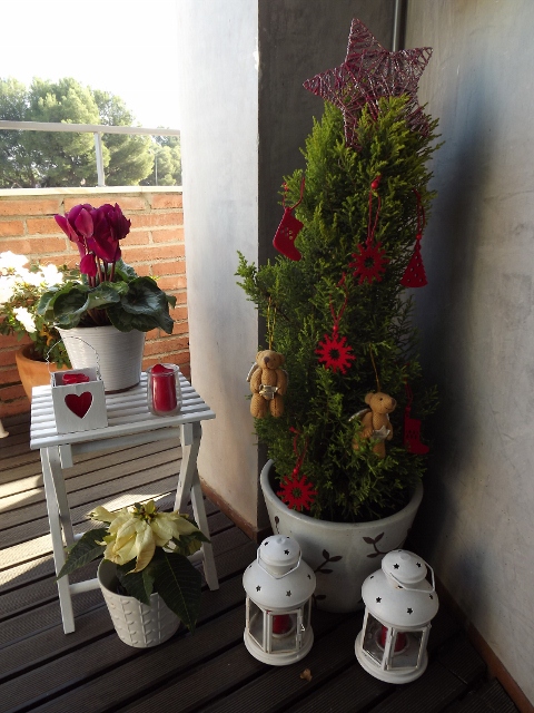 Un vergel en la ciudad: Navidad en la pequeña terraza