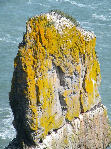 Welsh Major Rocks treeaware: Welsh Stacks, Rocks and Cliffs