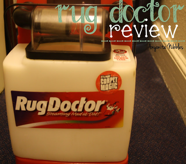 Rug Doctor Review from www.anyonita-nibbles.com