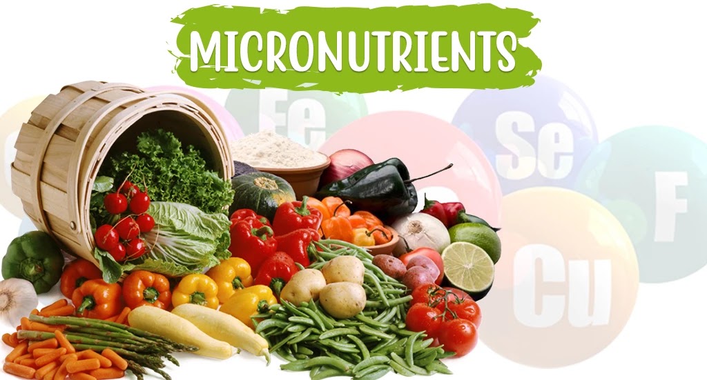 Ammazza! 47+ Fatti su Chart Micronutrients List! Micronutrients are
