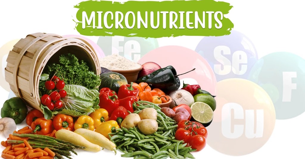 macro nutrients meaning macro nutrients meaning