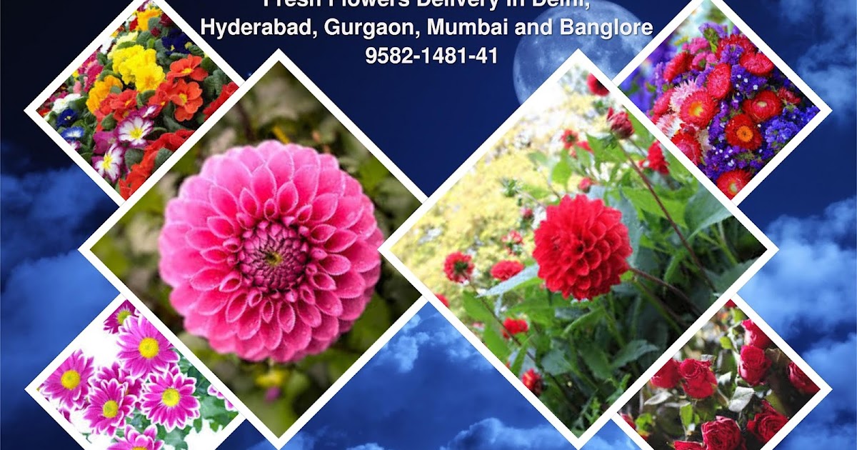 Send Flowers Online Same Day