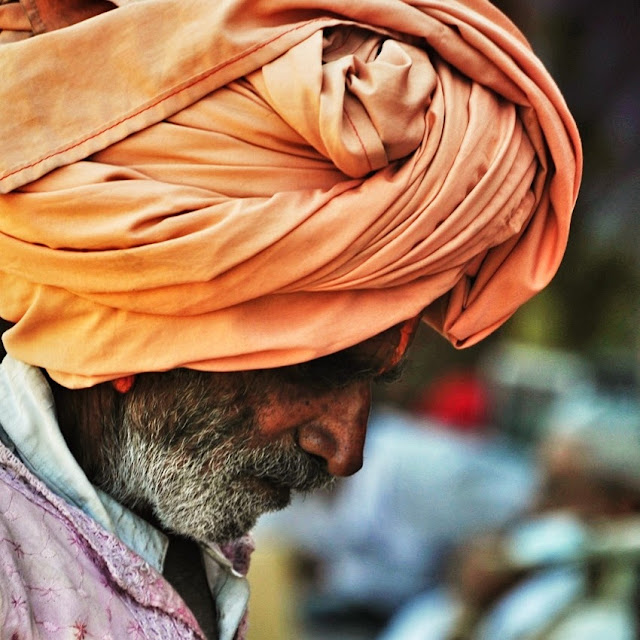 Indian Old men man male guy in colors portrait beautiful rajasthan pagdi 