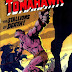 Tomahawk #123 - Neal Adams cover