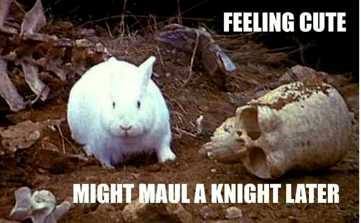 Rabbit Ramblings: Funny Bunny Memes