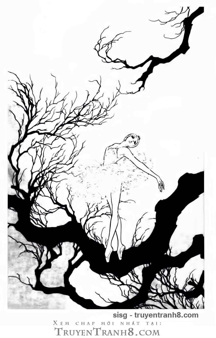 Swan - Vũ Khúc Thiên Nga Chap 83 - Next Chap 84
