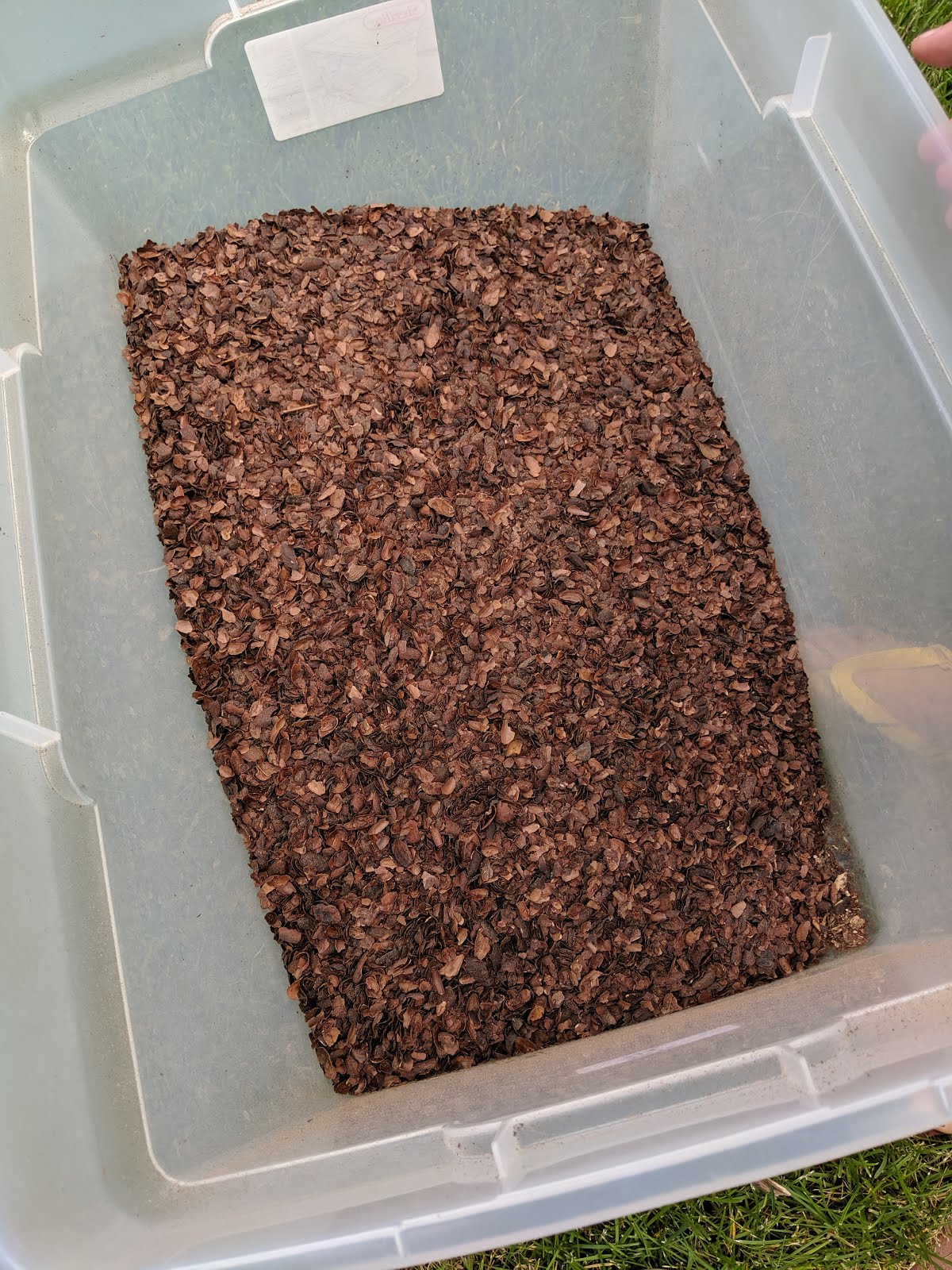 Like the French Do Cocoa Bean Hull Mulch