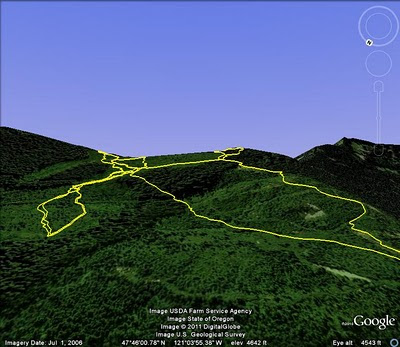 Upper part of our trail