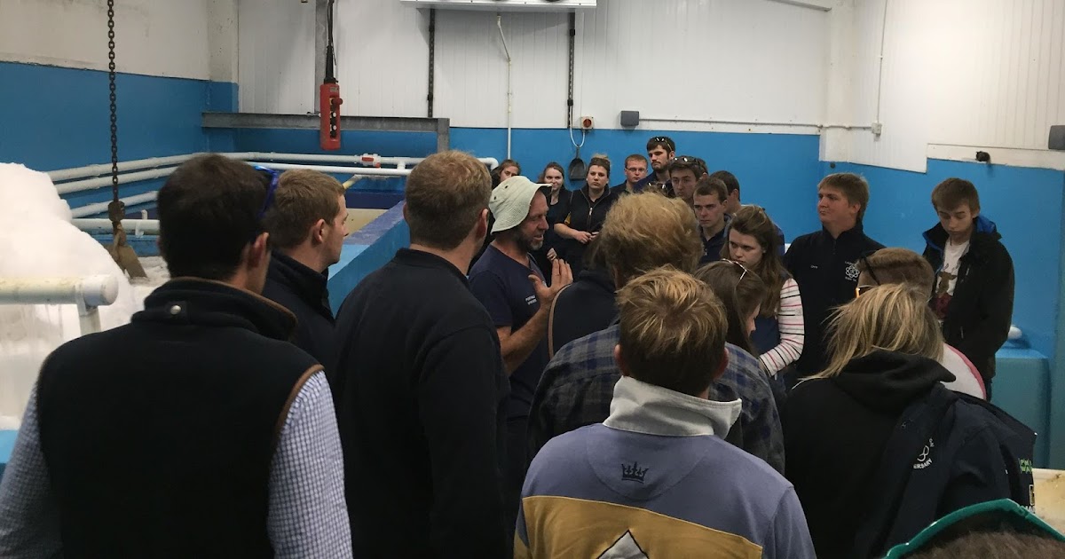 Launceston YFC Rock Oyster Farm