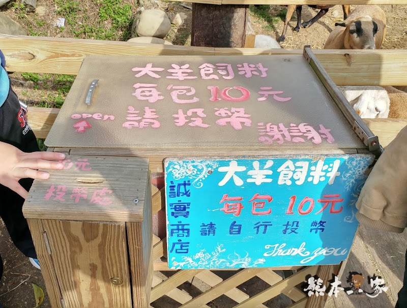 媲美清境青青草原|苗栗飛牛牧場|乳牛綿羊生態區~擠牛奶餵小羊小牛體驗