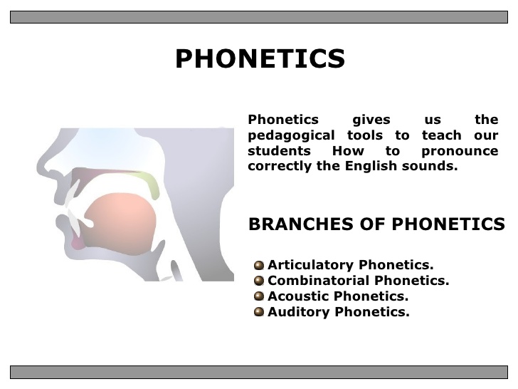 Speech Phonetics.