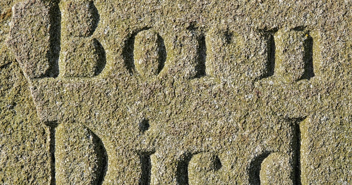 Review of literature pdf image