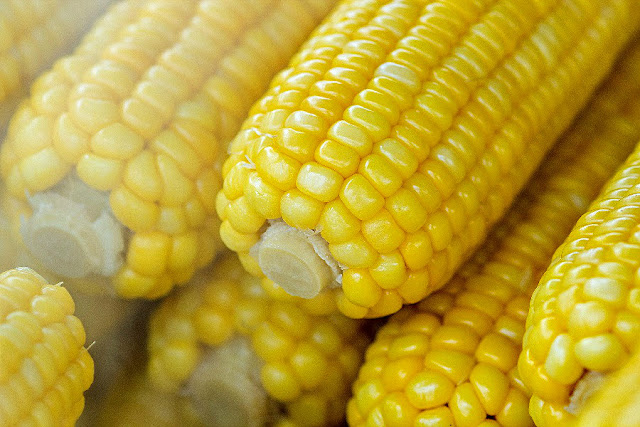 Whether you prefer kernel corn or corn on the cob, the process of freezing it is the same.