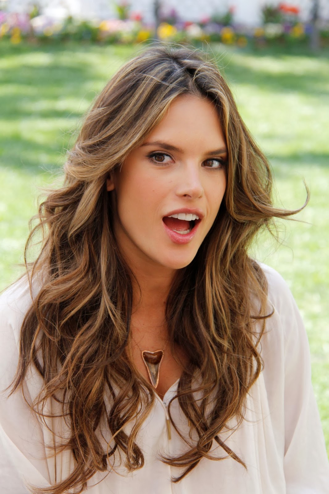 Biografias: Alessandra Ambrosio Biografia