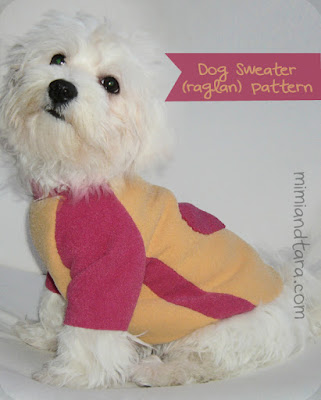 dog sweater patterns ranglan