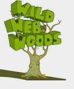 Wild web igra