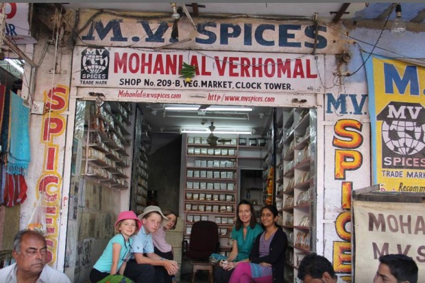 MV Spices - Jodhpur - India - Comprar especias