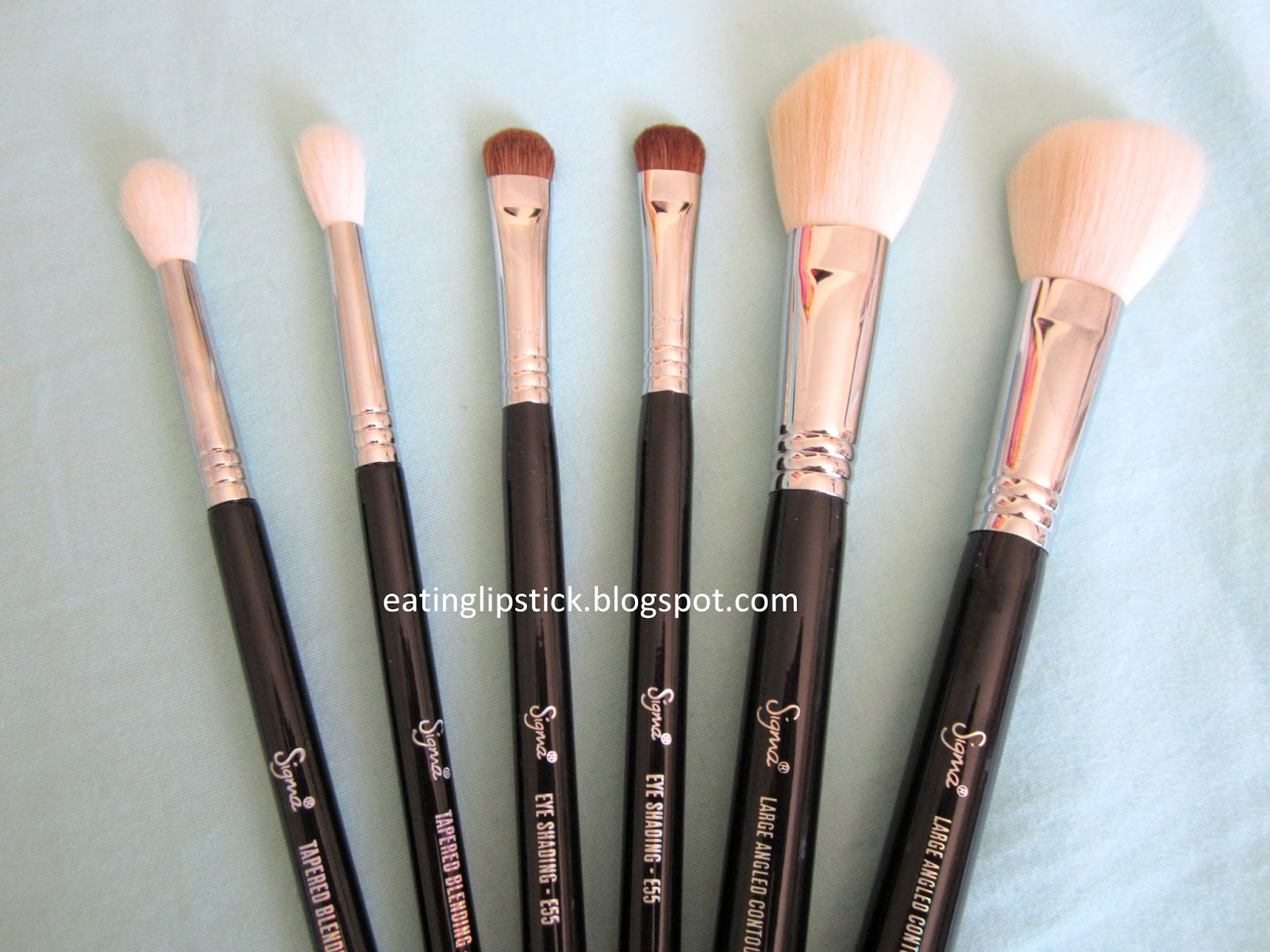 Eating Lipstick My Favorite Sigma Brushes!