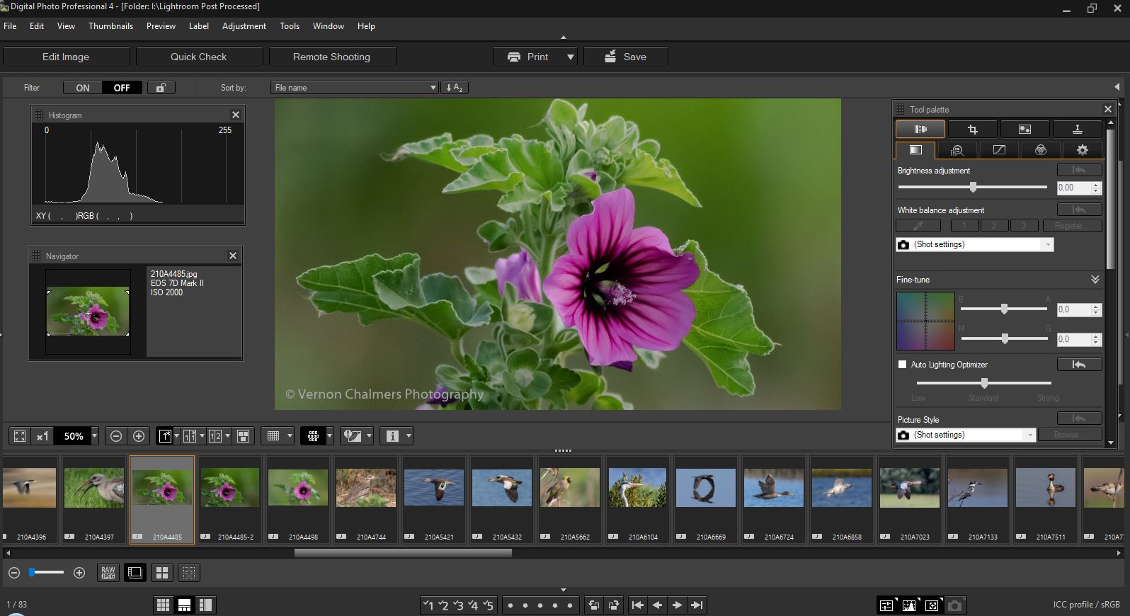 canon photo editor software download