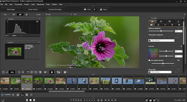 Download Canon Digital Photo Professional 4.10.0 for Windows Download Canon Digital Photo Professional 4.10.0 for Windows
